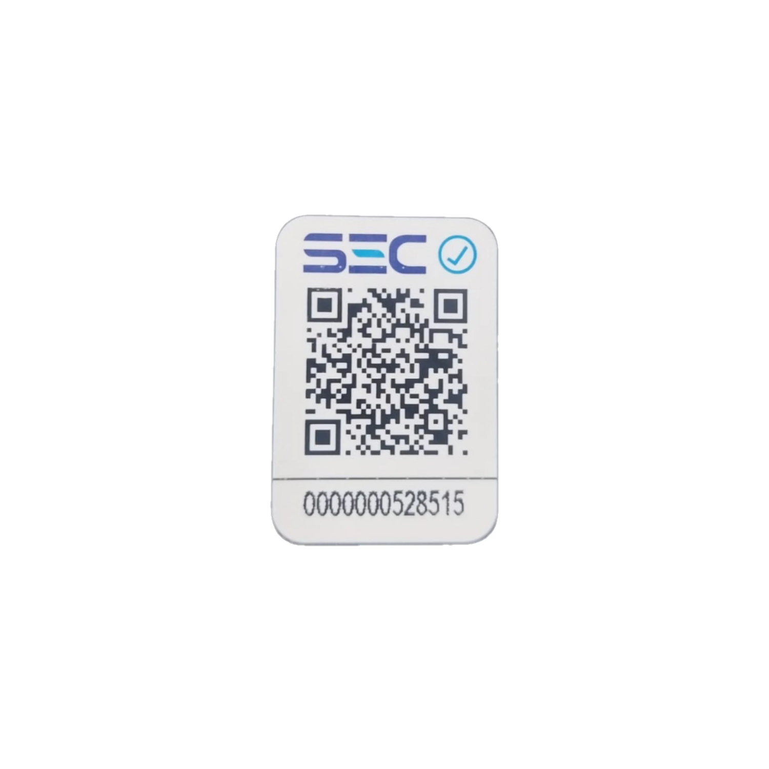 Plancha de Cabello Lizze Profesional Mini Para Viaje 220v