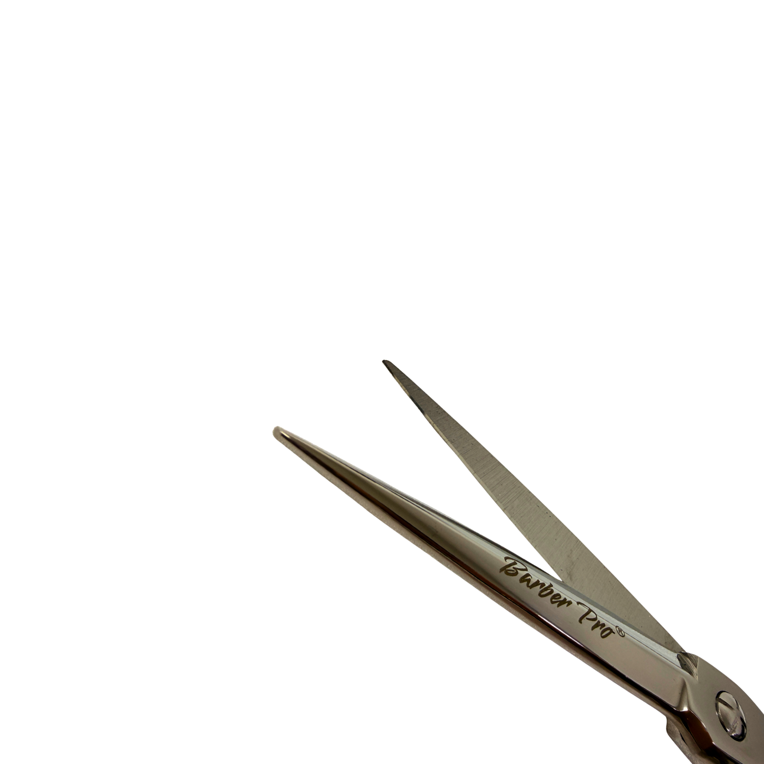 Tijera Profesional Peluquería BARBER PRO 6.5" Filo Navaja Silver - siemprecompra